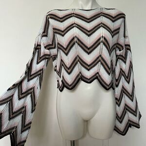 Audrey Parks Francesca’s Crochet Knit Flare Sleeve Crop Top